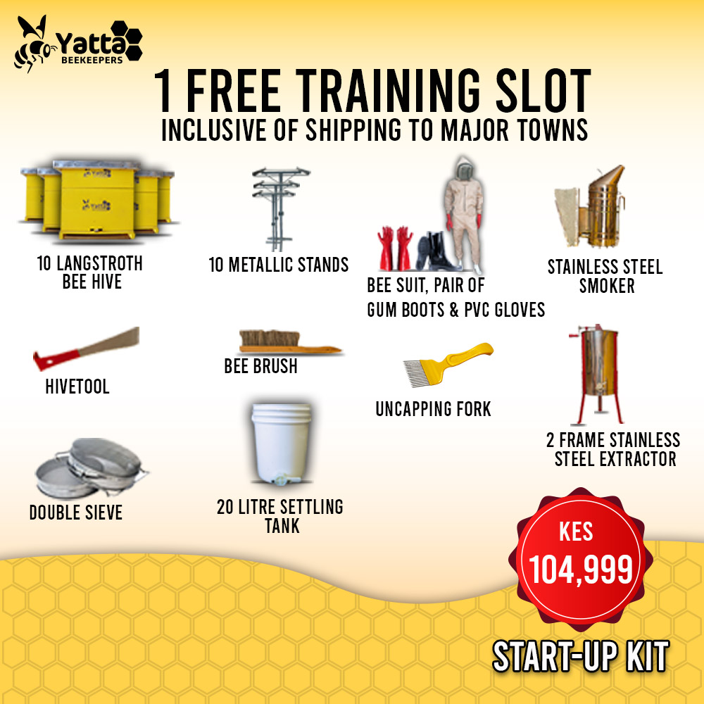 10 beehive startup kit