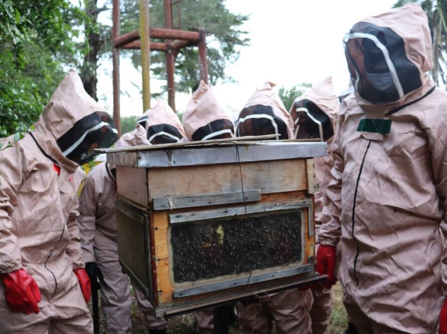 adpot a hive-yatta beekeepers